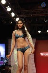 Models walk the Ramp at the Triumph Fashion Show 2015 - 32 of 52