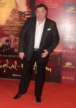 Mughal E Azam Musical Play Red Carpet - 9 of 30