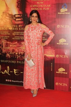 Mughal E Azam Musical Play Red Carpet - 19 of 30