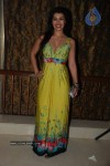 Bollywood: My Husband's Wife Music Launch  - 11 of 51