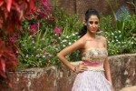 Umair Zafar Collection Photos - 30 of 45