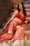 Umair Zafar Collection Photos - 41 of 45