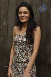 Celebs at Puma Brand Ambassador Announcement - 51 of 62