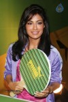 Puma Female Brand Ambassador Announcement - 22 of 67