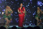 RA.One Movie Music Launch - 35 of 101