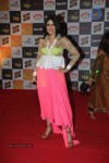 Radio Mirchi Awards 2012 Red Carpet - 20 of 104