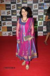 Radio Mirchi Awards 2012 Red Carpet - 50 of 104