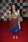 Radio Mirchi Awards 2012 Red Carpet - 71 of 104