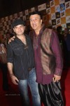 Radio Mirchi Awards 2012 Red Carpet - 90 of 104