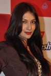 Bolly Celebs at Red Carpet Max Fresh Party - 27 of 75