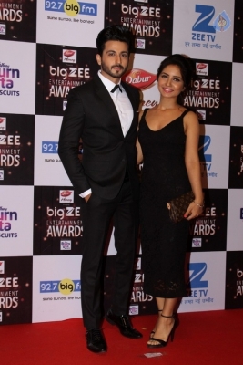 Zee Entertainment Awards Red Carpet  - 45 of 60