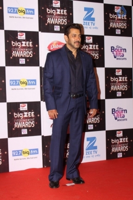 Zee Entertainment Awards Red Carpet  - 49 of 60
