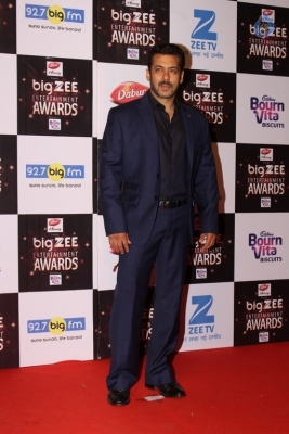 Zee Entertainment Awards Red Carpet  - 51 of 60
