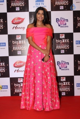 Zee Entertainment Awards Red Carpet  - 21 of 60