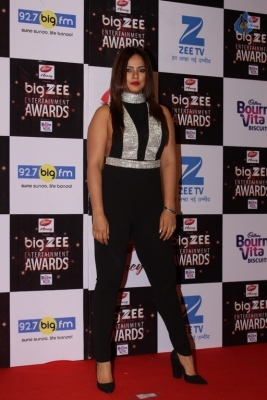 Zee Entertainment Awards Red Carpet  - 34 of 60