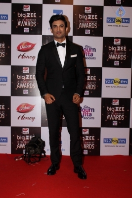 Zee Entertainment Awards Red Carpet  - 43 of 60