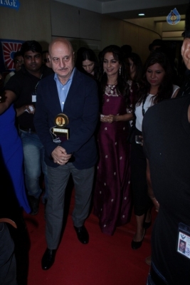 Red Carpet Of Dada Saheb Phalke Academy Awards - 23 of 30