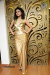 Rohit Verma Festive Season Collection Launch - 37 of 56