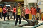 Rowdy Rathore Movie Promotion - 1 of 36