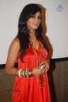Sahib Biwi Aur Gangster Music Launch - 22 of 34
