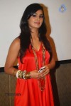 Sahib Biwi Aur Gangster Music Launch - 31 of 34