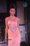 Sameera Reddy Walks the Ramp at AVIBW Day 4 Show - 29 of 62