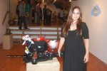 Sculpture Sportacular Exhibition Event - 29 of 22