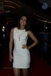 Sharafat Gayi Tel Lene Trailer Launch - 14 of 64