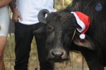 Shoot Wrap - Up and XMas Celebrations - 31 of 38