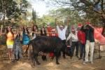Shoot Wrap - Up and XMas Celebrations - 34 of 38