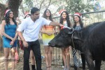 Shoot Wrap - Up and XMas Celebrations - 39 of 38
