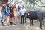 Shoot Wrap - Up and XMas Celebrations - 38 of 38