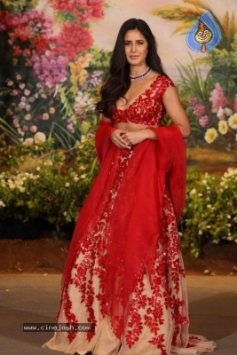 Sonam Kapoor - Anand Ahuja Reception - 30 of 33