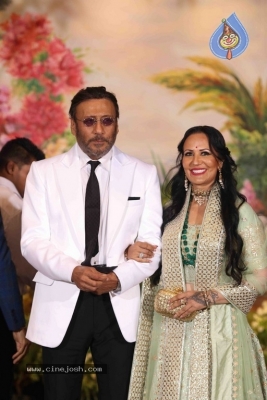 Sonam Kapoor And Anand Ahuja Wedding Reception Photos - 6 of 37