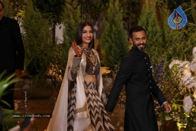 Sonam Kapoor And Anand Ahuja Wedding Reception Photos - 15 of 37