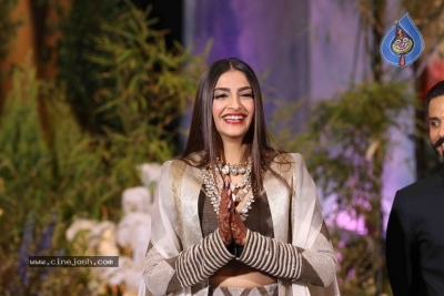 Sonam Kapoor And Anand Ahuja Wedding Reception Photos - 25 of 37