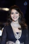 Sonam n Madhuri Dixit at IIJW 2012 - 20 of 48