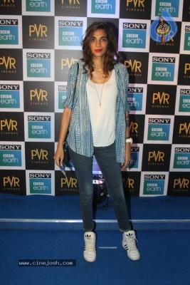 Sony BBC Earth film Blue Planet 2 Special Screening - 42 of 42