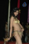 Spicy Models at Indian Princess 2011 Bash - 95 of 113