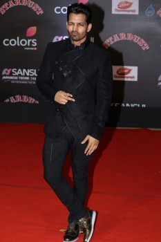 Stardust Awards 2016 Red Carpet 2 - 29 of 62
