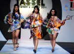 Tassel Designer Awards 2011 Fashion Show - 23 of 63