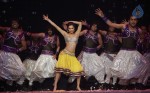 The Biggest Bollywood Extravaganza SLAM Tour Photos - 6 of 33