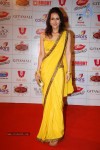 The Global Indian Film and TV Awards - 49 of 169