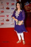 The Global Indian Film and TV Awards - 54 of 169