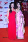 The Global Indian Film and TV Awards - 57 of 169