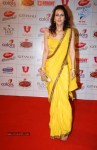 The Global Indian Film and TV Awards - 84 of 169