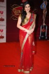 The Global Indian Film and TV Awards - 113 of 169