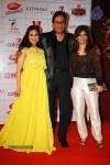 The Global Indian Film and TV Awards - 118 of 169