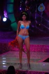 The Triumph Show 2011 - 88 of 154