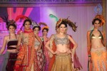 Trrain Retail Awards 2011 Fashion Show - 33 of 51